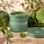 nutrivi-detoxup-suplement-diety-w-sloiczku-138,3g-wieloskladnikowy-zielony-koktajl-detoksykujaco-oczyszczajacy.webp