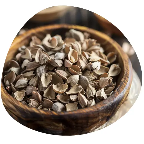 Ekstrakt z Nasion Moringa