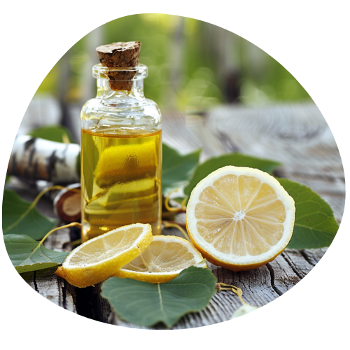 Ekstrakt z Osiki Cytrynowej