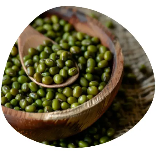 Ekstrakt z Fasoli Mung