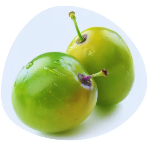 Ekstrakt z Zielonej Śliwki