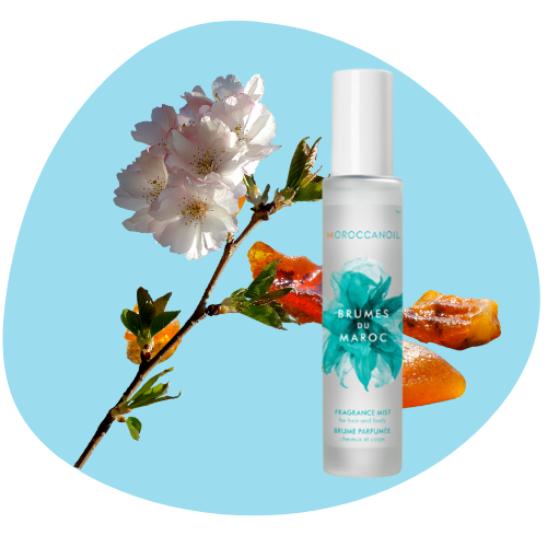 Moroccanoil mgiełka logo