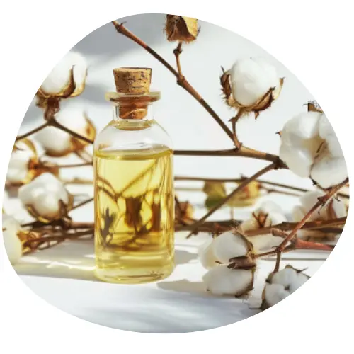 Olej Bawełniany