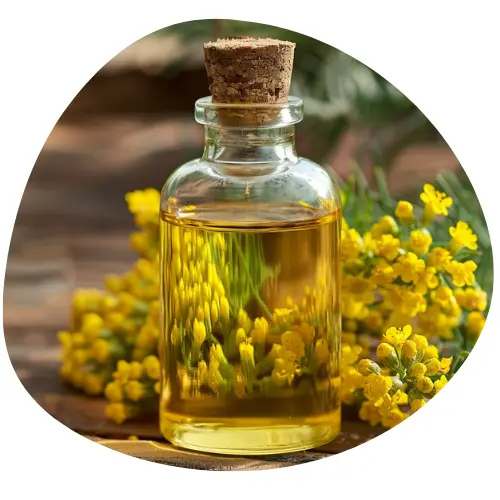 Olejek z Kwiatu Immortelle