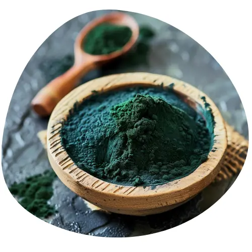 Spirulina – zielono-niebieska alga