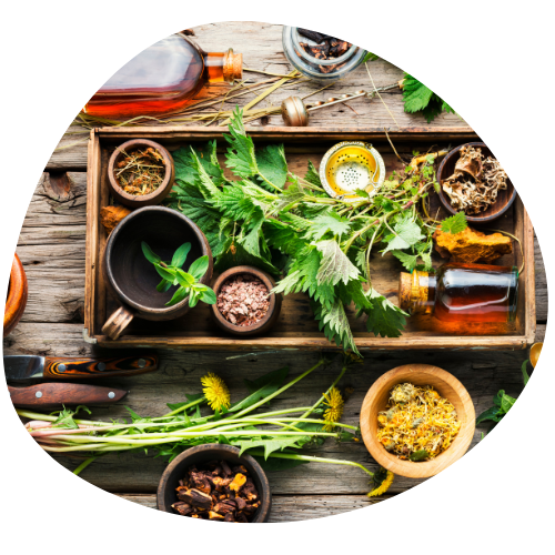 Extract z liści herbaty